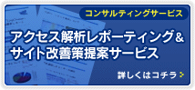 アクセス解析レポーティング＆サイト改善策提案サービス